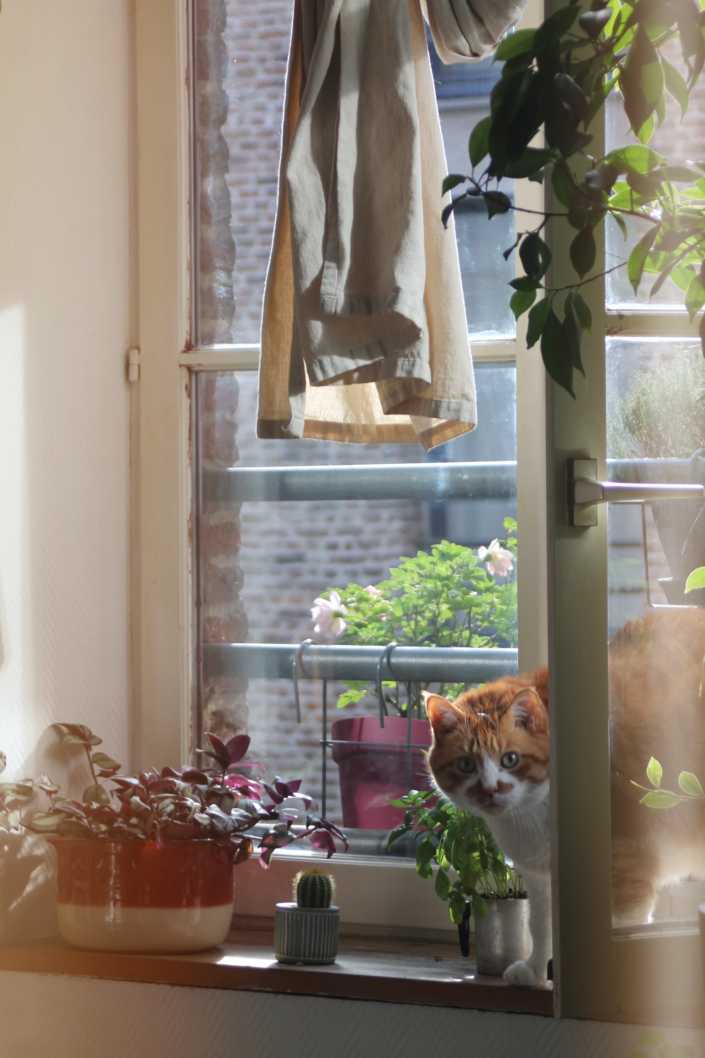 Avant après rangement désencombrement - home organiser Chambéry