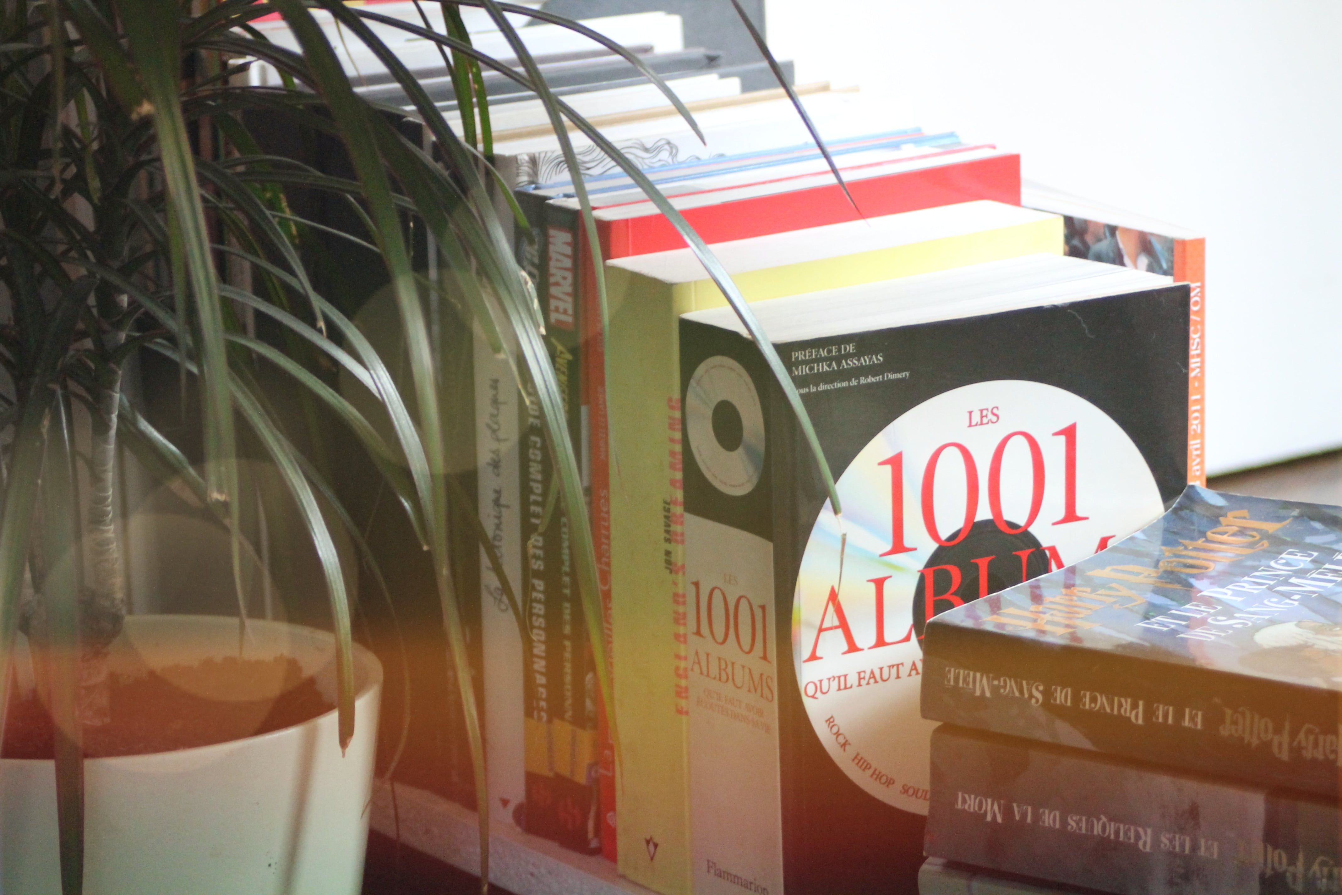 Rangement placard optimisé - home organiser Chambéry