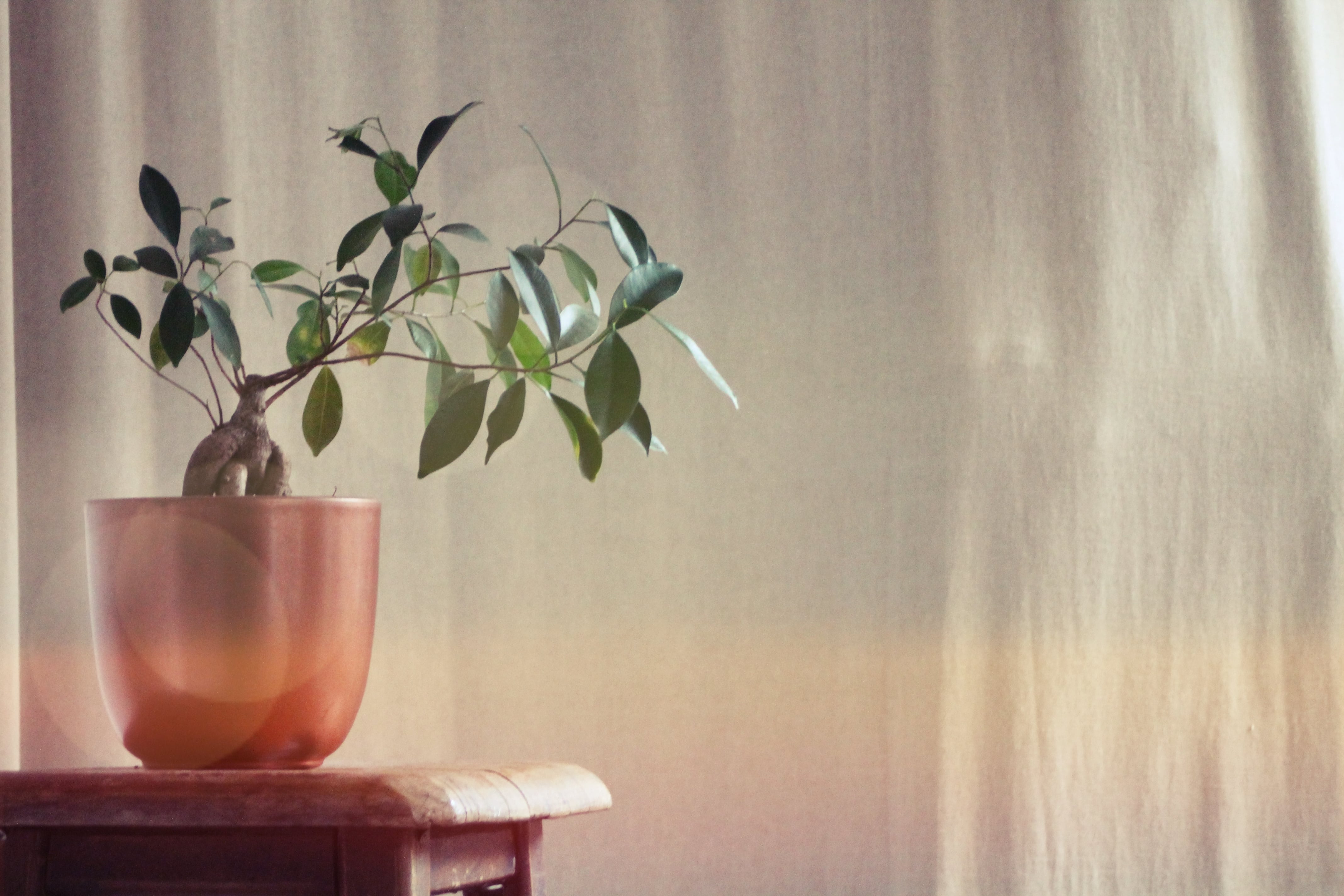 Rangement tiroir - home organiser Chambéry