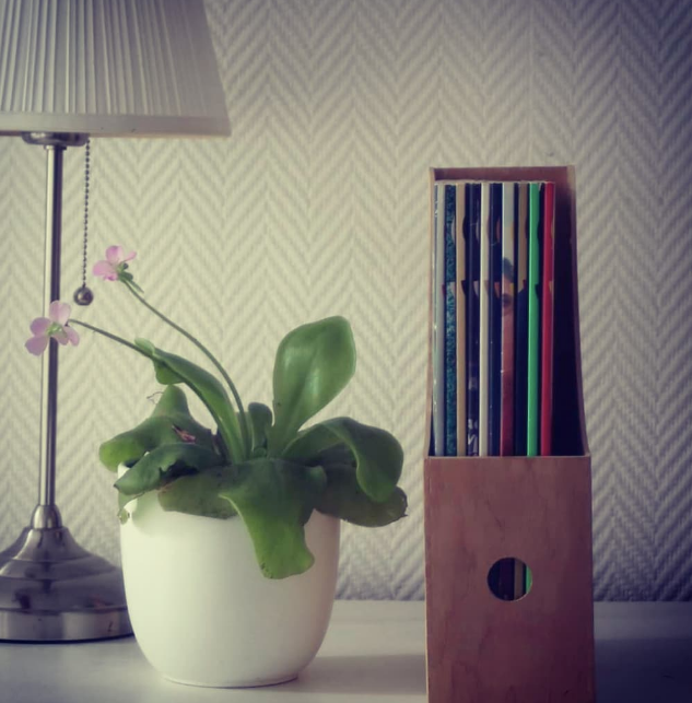 Décoration salon organisé - home organising Chambéry