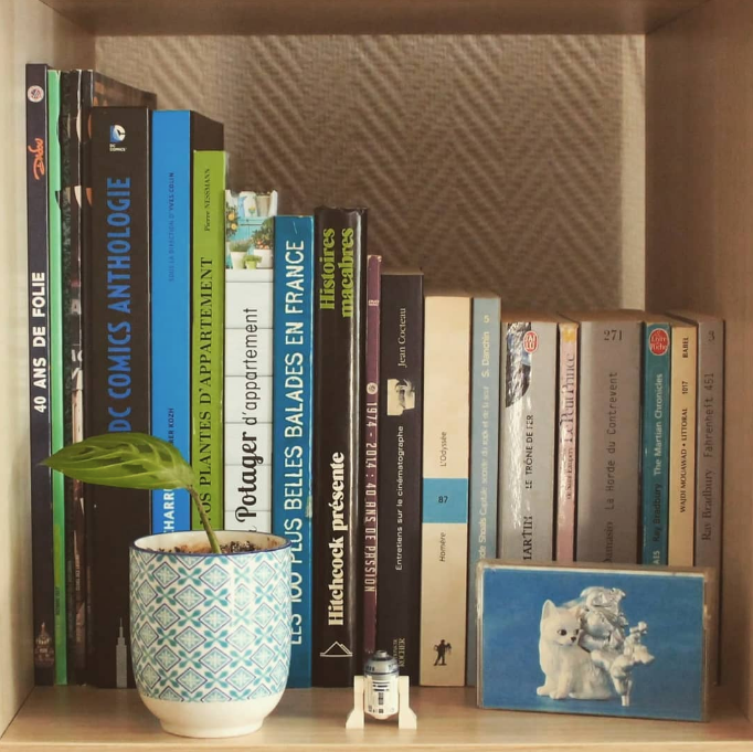 Rangement livres bibliothèque - home organiser Chambéry