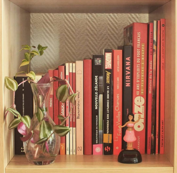 Tri livres désencombrement - home organising Chambéry